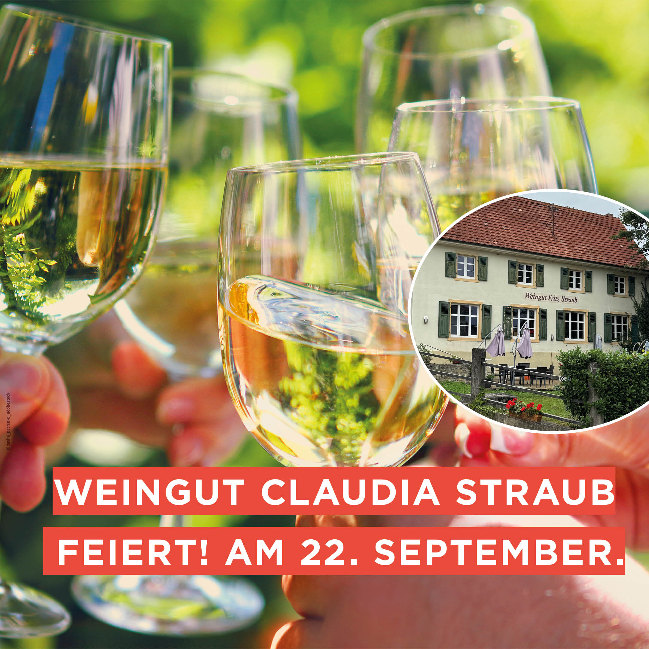 145 Jahre Weingut Straub